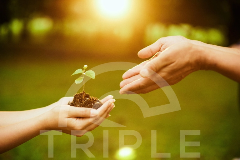 Verbindungen schaffen Verbindungen, die Vertrauen schaffen - langjährige Partnerschaft bei TRIPLE S auf Basis von Vertrauen